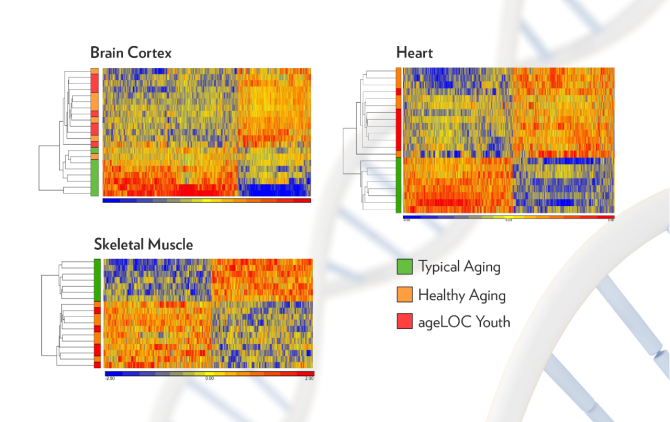 CHARTS-DNA-02-02 (1) CHARTS-DNA-02-02 (1)