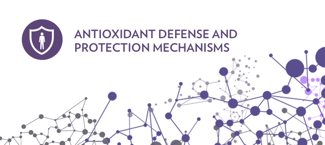 Antioxidant Defense and Protection Mechanisms Regulating inflammatory balance with Aging Defense Mechanisms